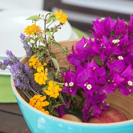 House Casa Mariposa In *