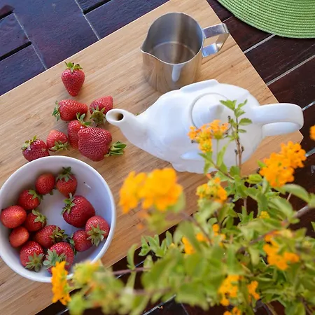 House Casa Mariposa In Tabayesco