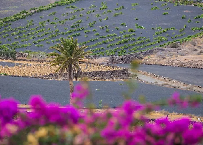 ヴィラ House Casa Mariposa In *