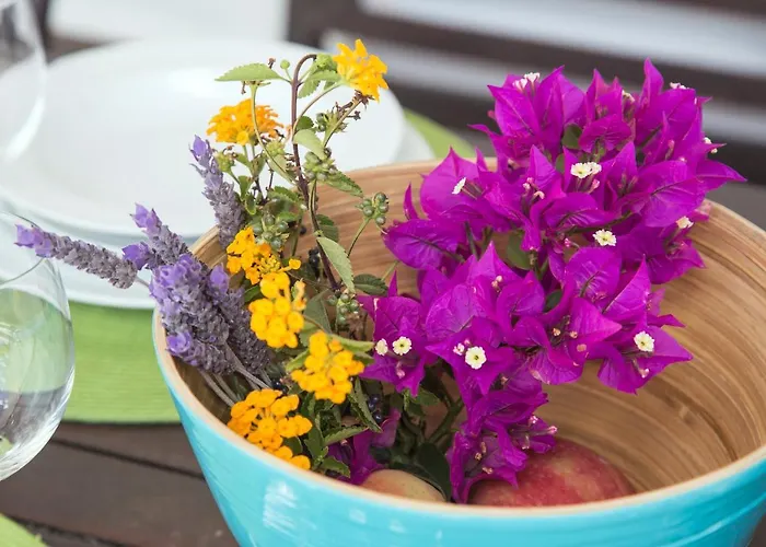 House Casa Mariposa In *