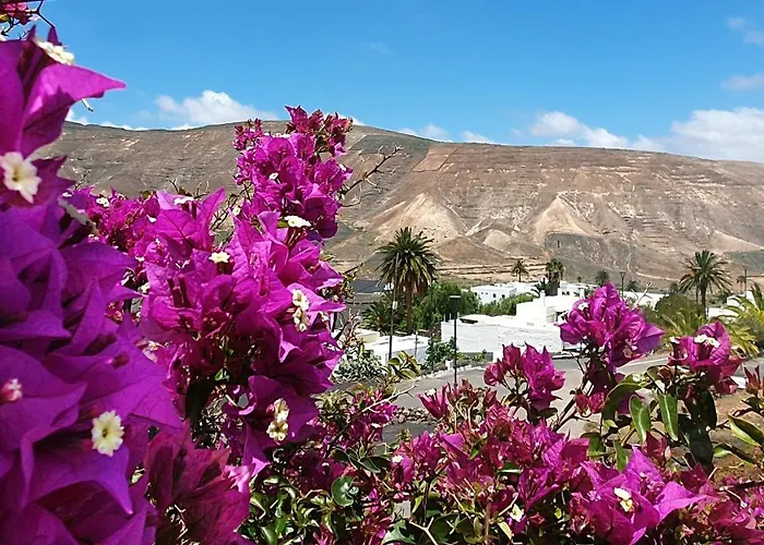 House Casa Mariposa In Tabayesco