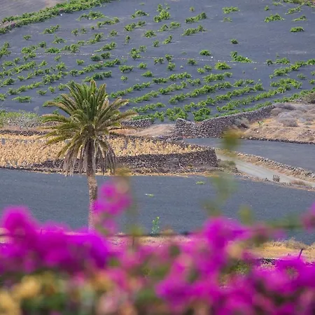 Βίλα House Casa Mariposa In *